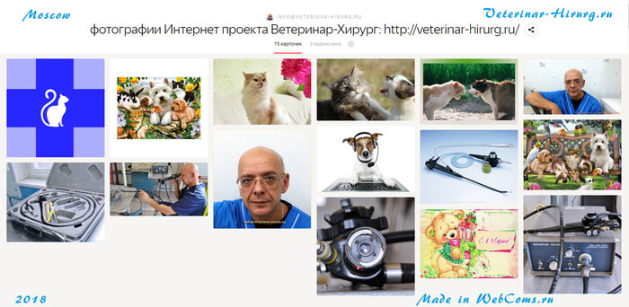 site-veterinar-hirurg-skrinshoty-yandeks-kollekciya-02 (700x342, 80Kb)