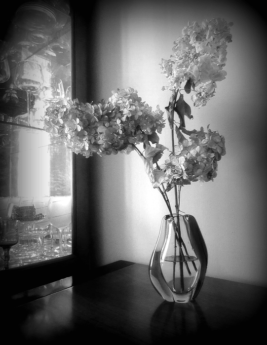 image3 (541x700, 208Kb)
