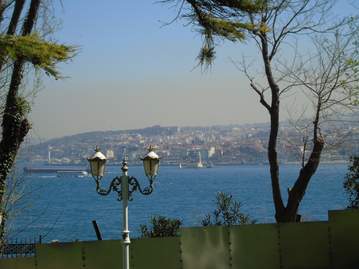 DSC01604 (700x525, 353Kb)