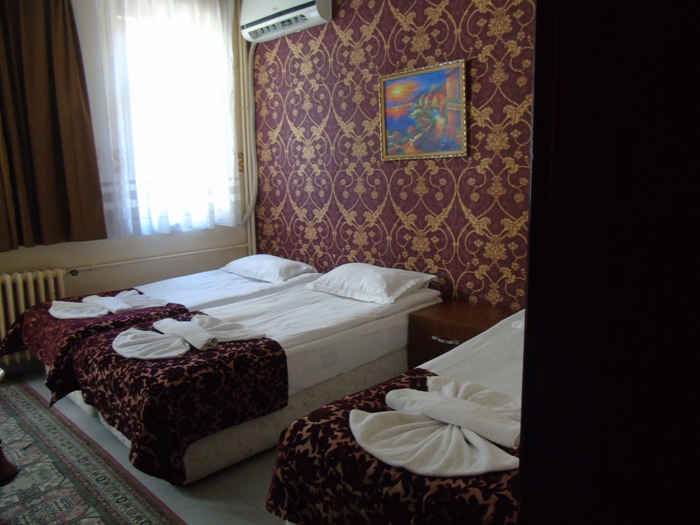 DSC01637 (700x525, 311Kb)