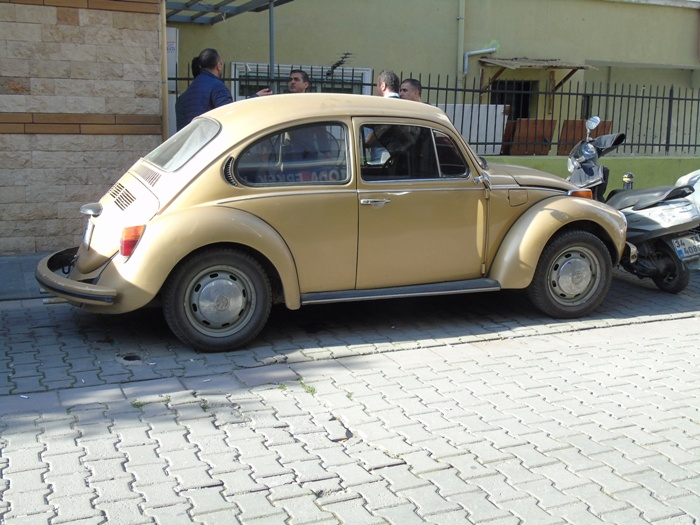 DSC02167 (700x525, 352Kb)