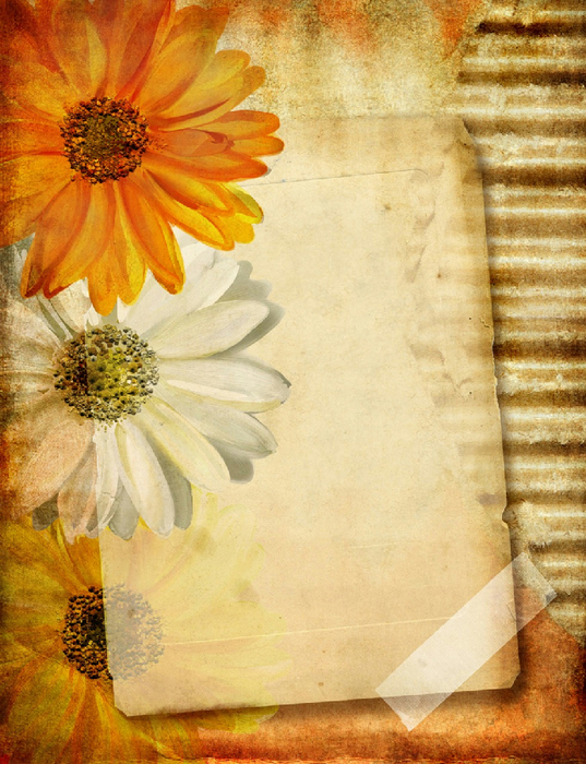 0_a97ec_c7668652_orig (537x700, 497Kb)