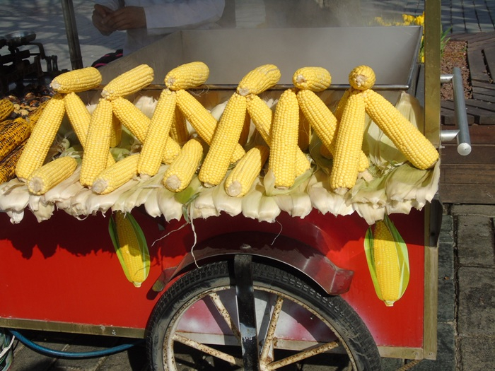 DSC02419 (700x525, 408Kb)