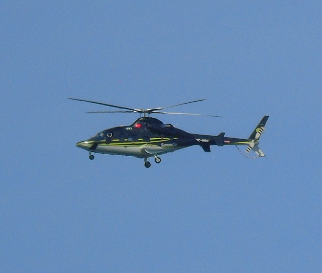 DSC02494 (660x561, 236Kb)