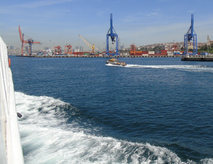 DSC02546 (700x538, 391Kb)