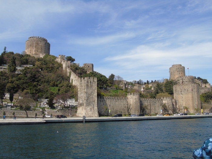 DSC02736 (700x525, 342Kb)