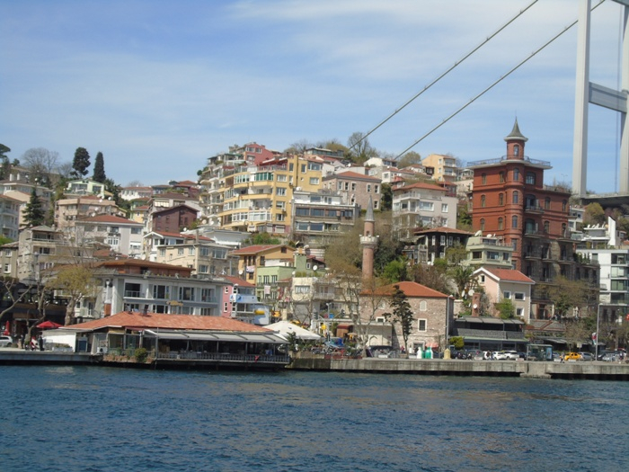 DSC02747 (700x525, 381Kb)