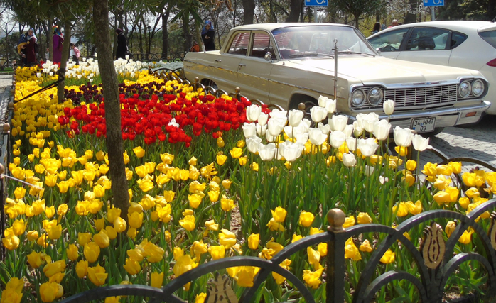 DSC02870 (700x427, 481Kb)