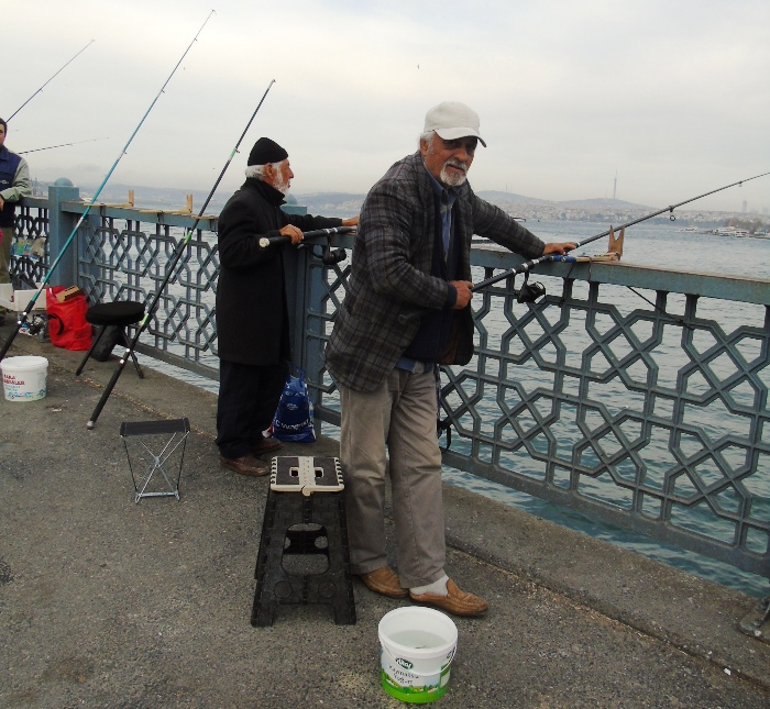 DSC03155 (700x645, 464Kb)