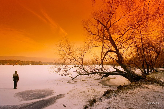 1243026596_19_05_2009_0089758001242724108_adam-dobrovits (700x466, 412Kb)