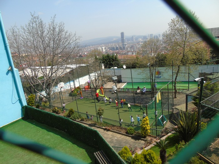 DSC00512 (700x525, 391Kb)