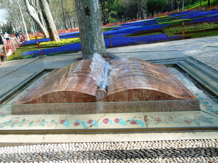 DSC00839 (700x525, 498Kb)