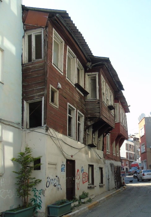 DSC01079 (488x700, 300Kb)