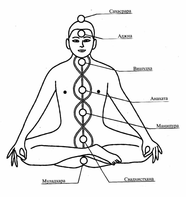 Чакры рисунок расположение
