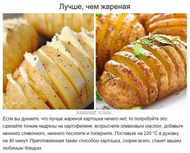 pWH9yC6y--M (604x488, 88Kb)
