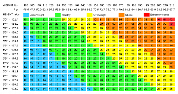 5601102_ (600x320, 245Kb)