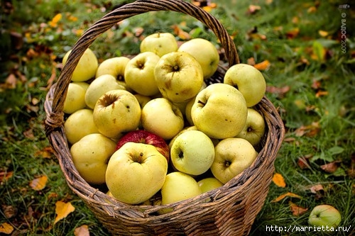 Рецепты яблочных пирогов (2) (500x333, 158Kb)