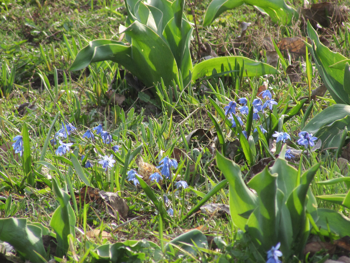 IMG_0281 (700x525, 640Kb)