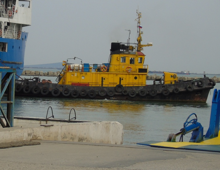 DSC02027 (700x540, 320Kb)