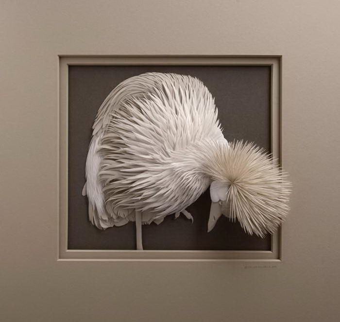 Келвин Николлс: бумажные 3D скульптуры животных и птиц
