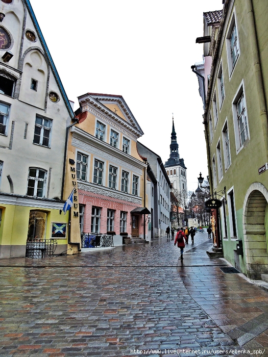 DSCN4826 (525x700, 360Kb)