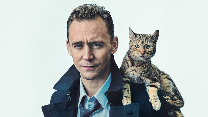 cat tom hiddleston (700x394, 167Kb)