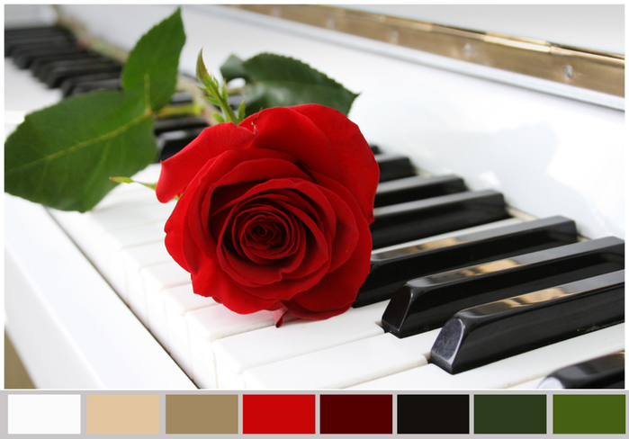 rose (700x488, 263Kb)