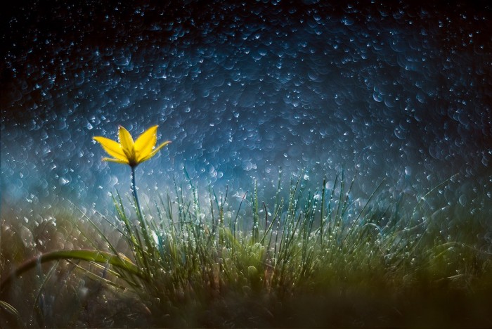upl_1498414445_3108 (700x468, 99Kb)
