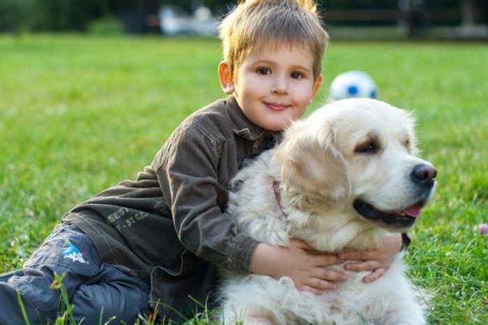 10 лучших пород собак для квартиры и детей: выбираем верного друга для ребёнка