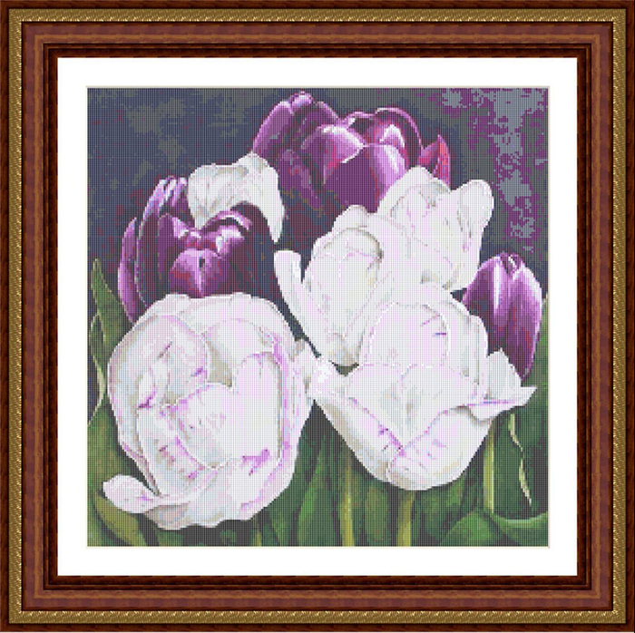 FR 344 Feathered Tulips (700x698, 643Kb)