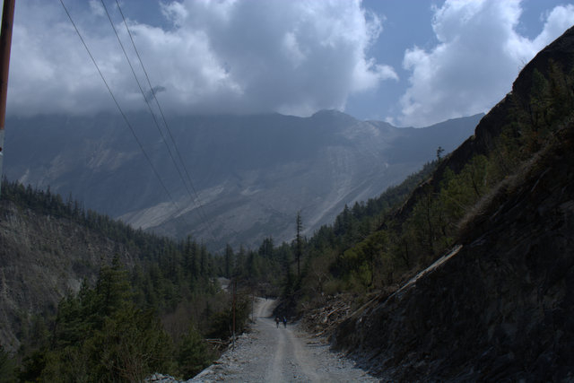 DSC_0485 (640x427, 125Kb)