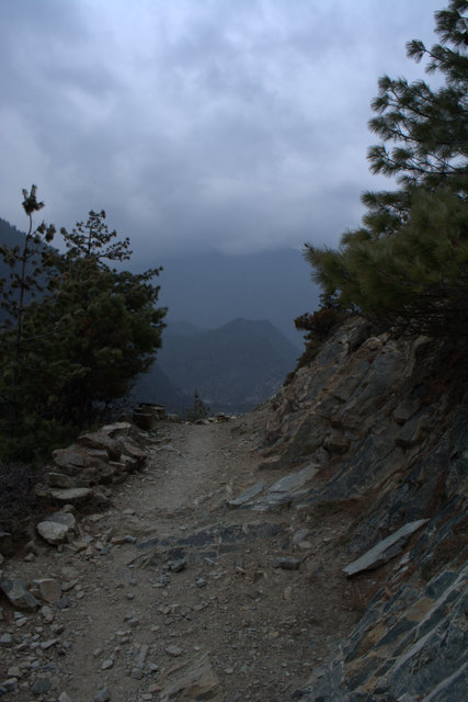 DSC_0522 (427x640, 147Kb)