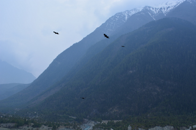DSC_0539 (640x427, 187Kb)