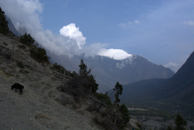 DSC_0561 (640x427, 116Kb)
