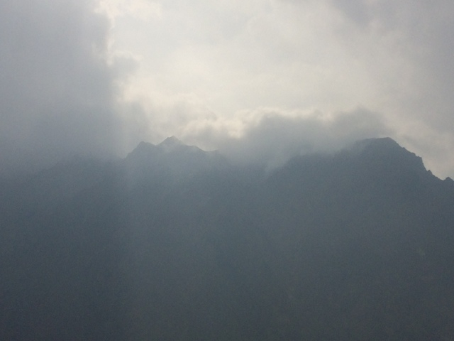 IMG_3921 (640x480, 124Kb)