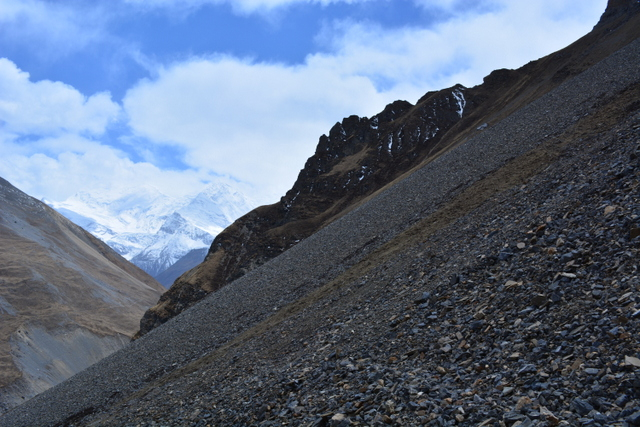 DSC_0679 (640x427, 321Kb)