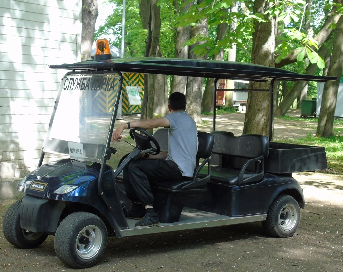 DSC01377 (700x556, 428Kb)