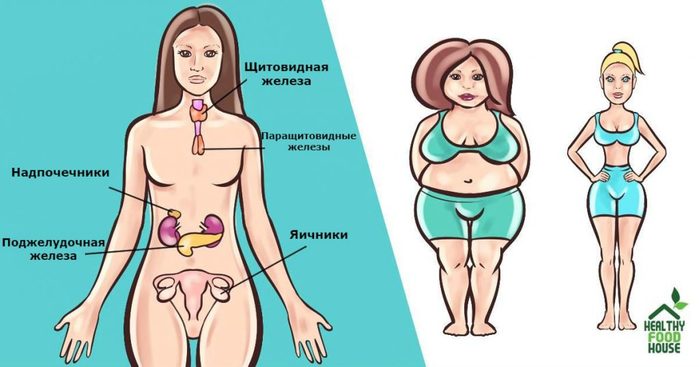 3364688_top6herbstobalanceyourhormonesnaturally1024x538 (700x367, 43Kb)