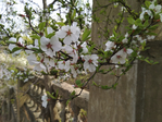  IMG_20180512_154856 (700x525, 427Kb)