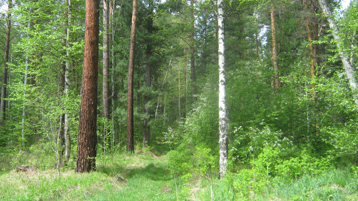 IMG_3644 (700x392, 523Kb)