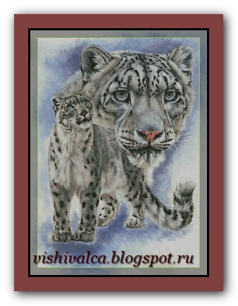 Snow Leopard (1) (338x434, 111Kb)