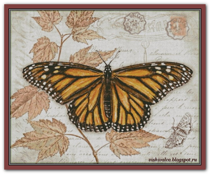Butterfly Vintage 12 (1) (700x579, 412Kb)