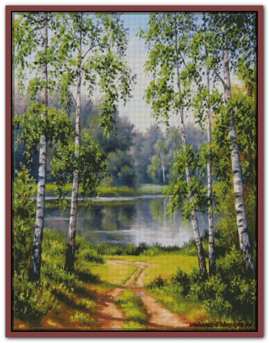 Birches near the water (1) (549x700, 551Kb)
