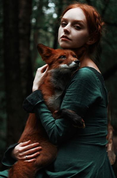 forest fox 5 (394x600, 136Kb)