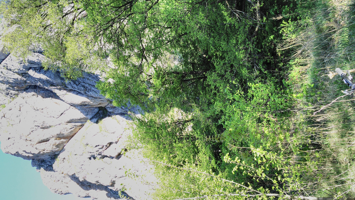 IMG_20180523_080551 (700x393, 511Kb)