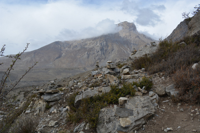 DSC_0768 (640x427, 226Kb)
