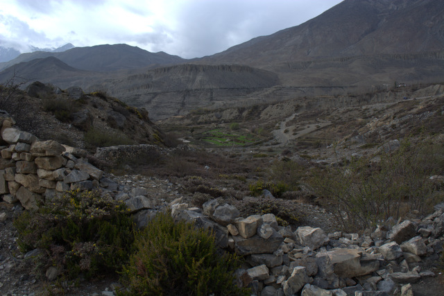 DSC_0802 (640x427, 223Kb)