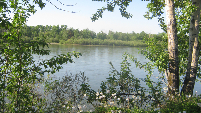 IMG_3708 (700x392, 472Kb)