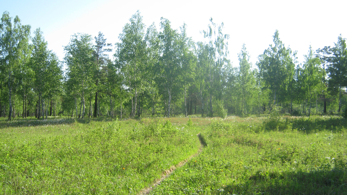 IMG_3741 (700x392, 429Kb)