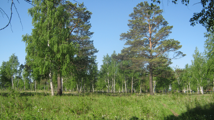 IMG_3751 (700x392, 470Kb)